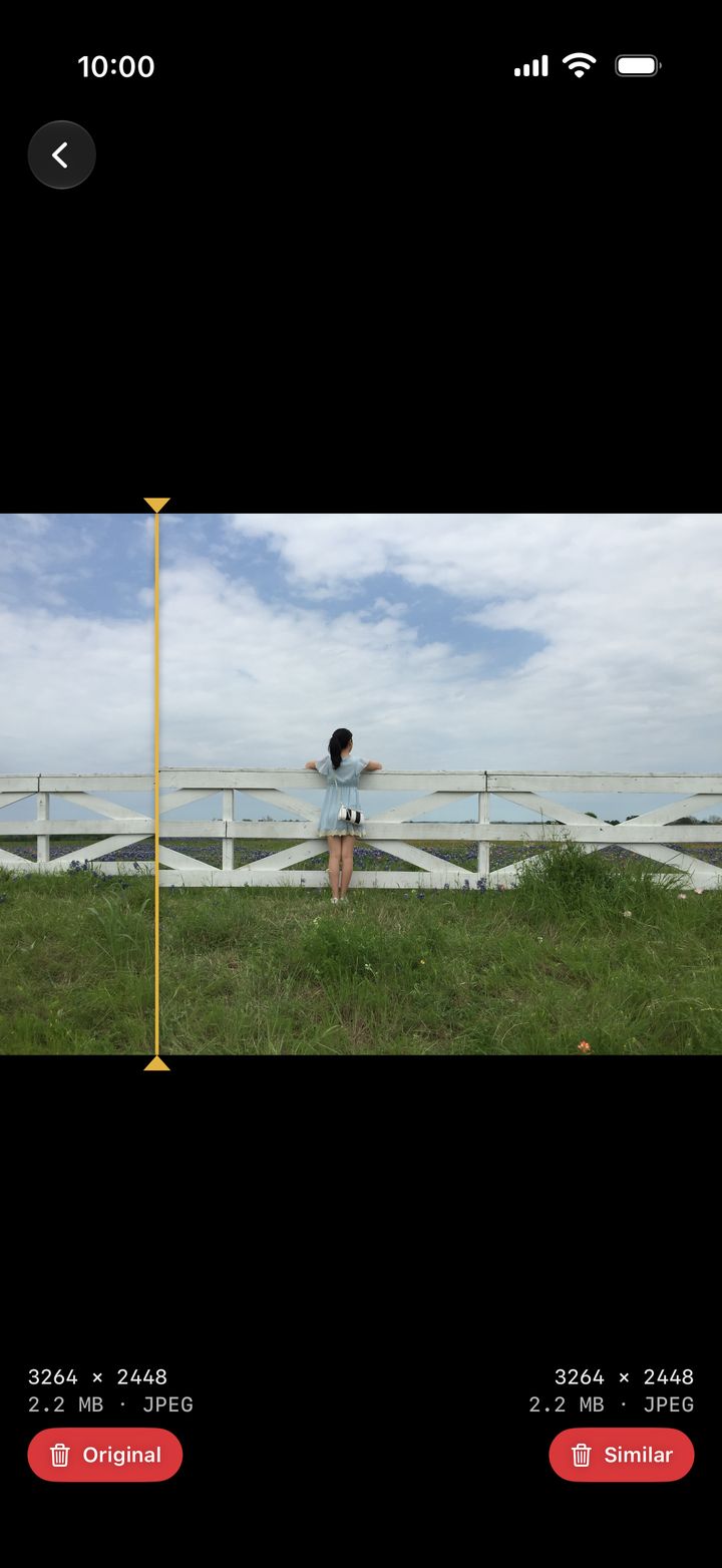 Compare: one gold line dragged between two shots of the same scene, size and format under each.